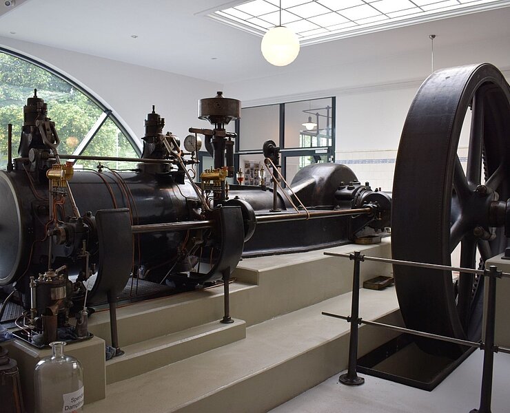 Bulldog-Museum (Corinna Bergelt)