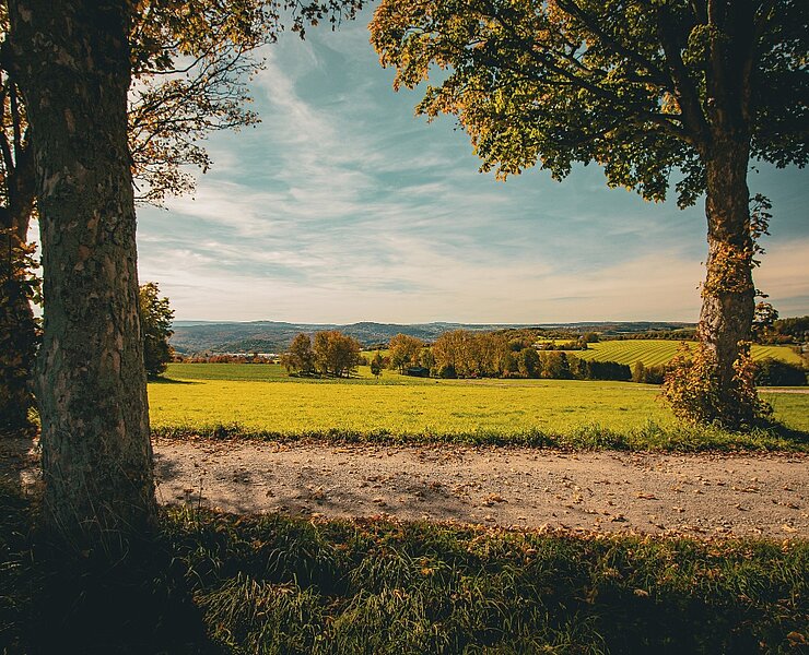 Ausblick Steinweg Lößnitz (Theresa Seidler)