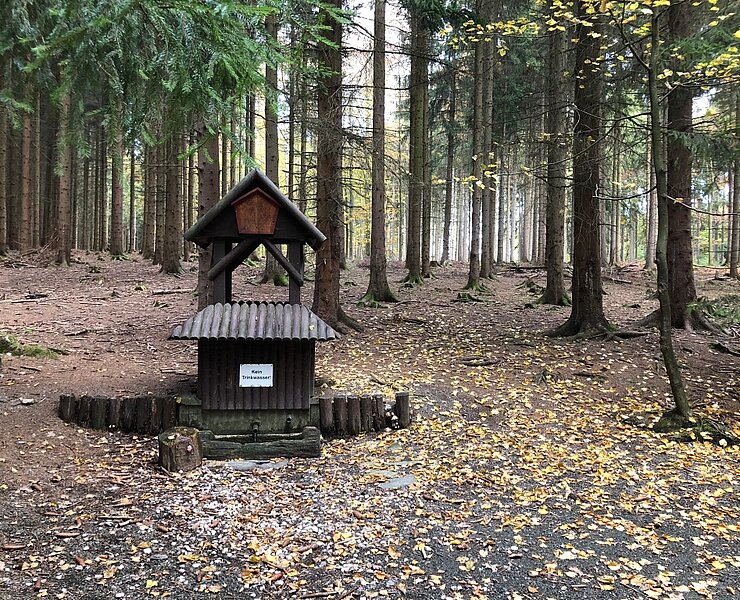 Forzbachl-Quelle in Thalheim (Vanessa Schüppel)