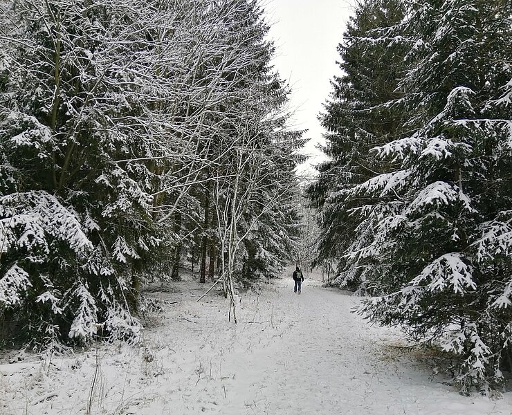 Winterwandern im Osterzgebirge ()