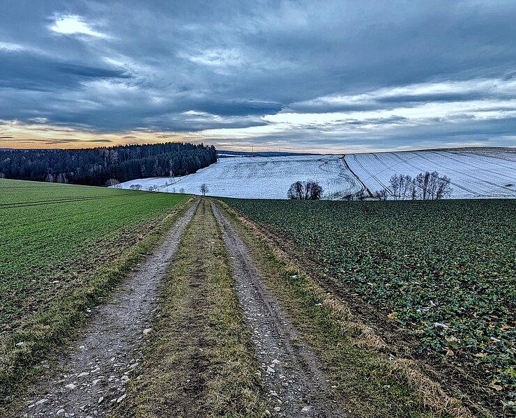 ... unterwegs auf dem Wanderweg in Richtung Marienberg (Rico Oelmann)