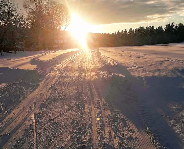  (Andreas Göbel)