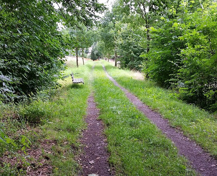 Zschopautalweg im Sommer ()