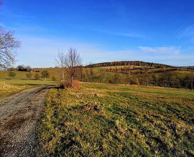 Wandern nach Bärenstein - Sachsenhöhe ()
