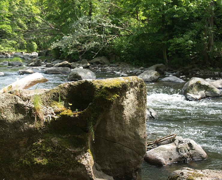 Fluss Chemnitz bei Markersdorf (Bastian Rakow)