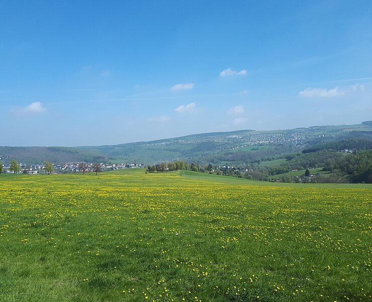 Blick von der Antonsthaler Straße (Koordinator Städtebund Silberberg)