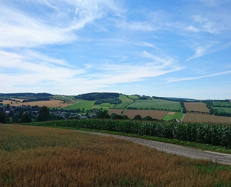 Arnsfeld (Online TVE)
