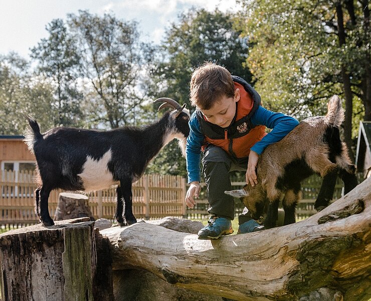 Wildpark Osterzgebirge (Phillip Maethner)