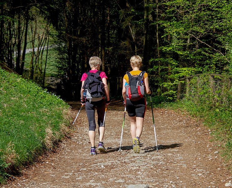 Nordic Walking - Terrainkurwege ()