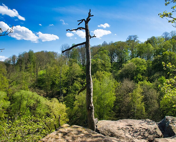 Amtmannsfelsen (Bastian Rakow)