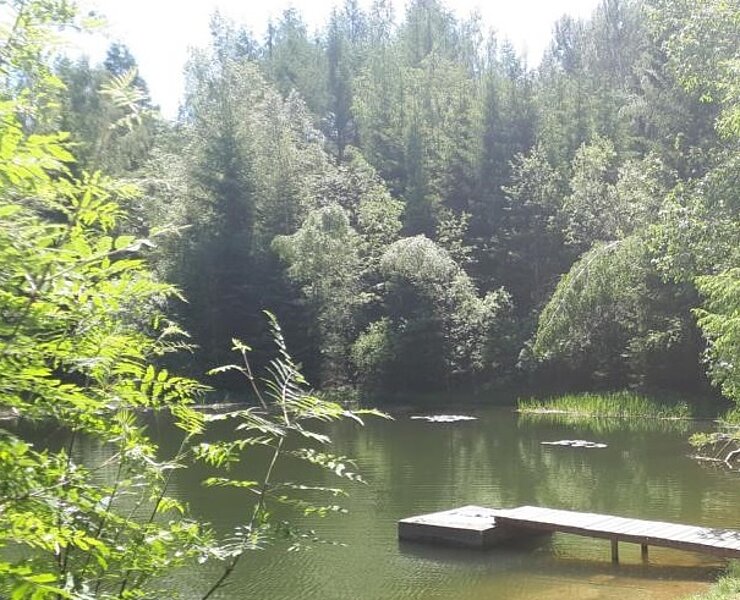 Waldteich ()