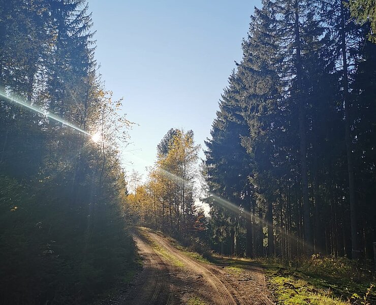 Langer Weg Sommer, Oberbärenburg (Sandra Böhme)
