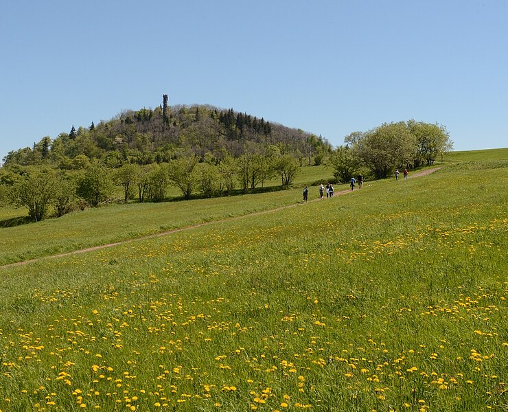 Geisingberg im Sommer (Egbert Kamprath)