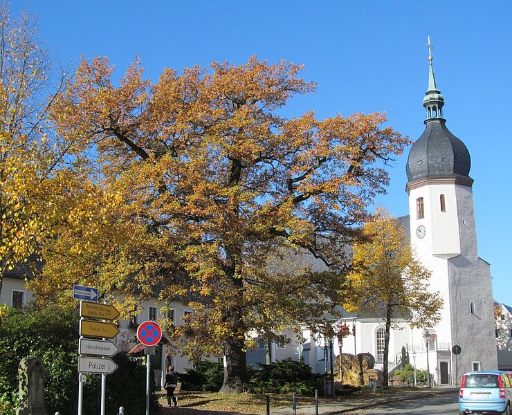 Königseiche (Matthias Drechsel)