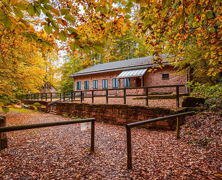 Geoportal Porphyrland - Rochlitzer Berg (Oliver Göhler)
