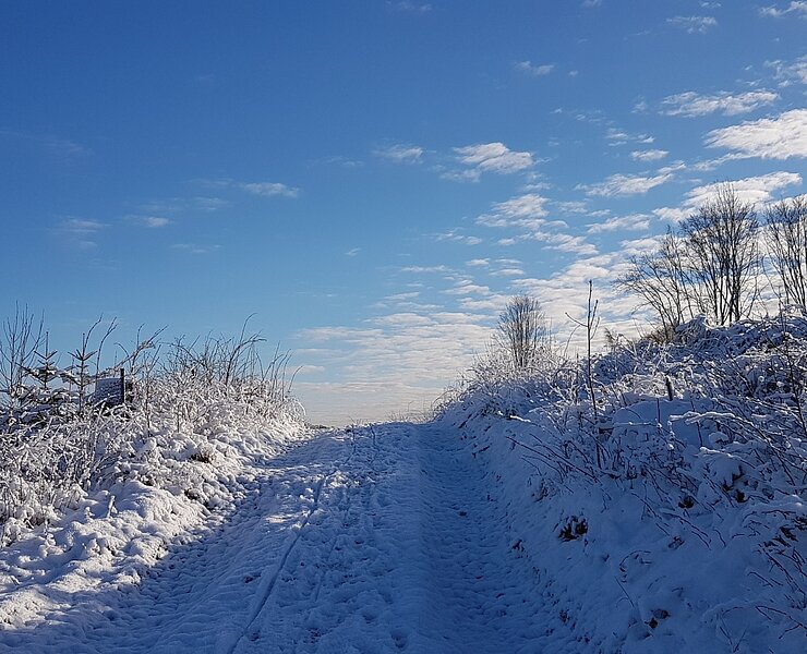 Unterwegs auf dem Panoramarundweg (Doreen Fiebig)