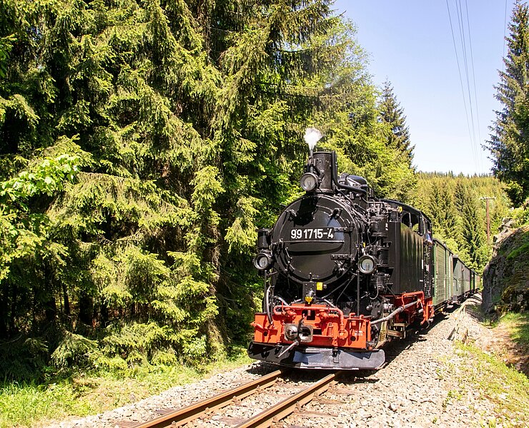  (Jürgen Herold, IG Preßnitztalbahn)