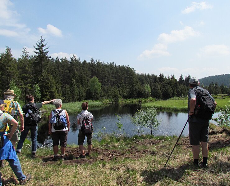 Wanderer am Hochmoor (Kai Härtel, erlebnisschmiede-erzgebirge.de)