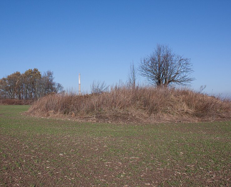 Alte Mordgrube - Haldenzüge (WFE GmbH Annaberg-Buchholz)