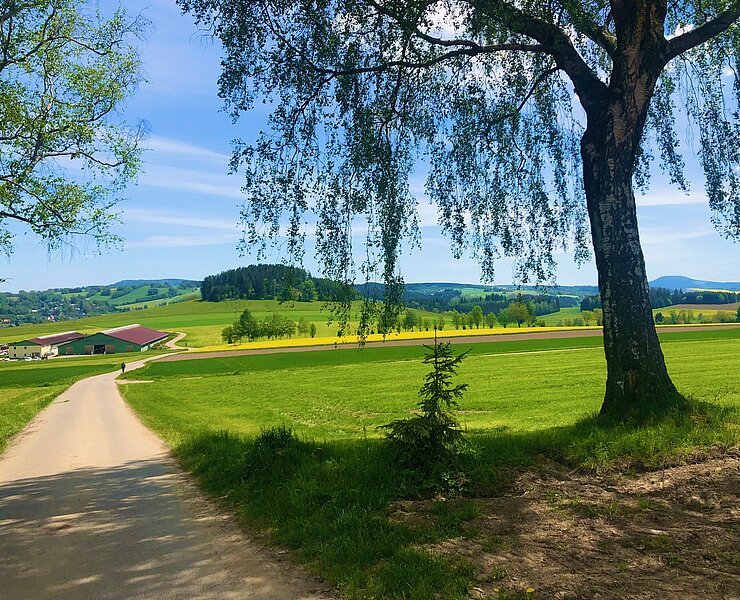  (Andreas Göbel)