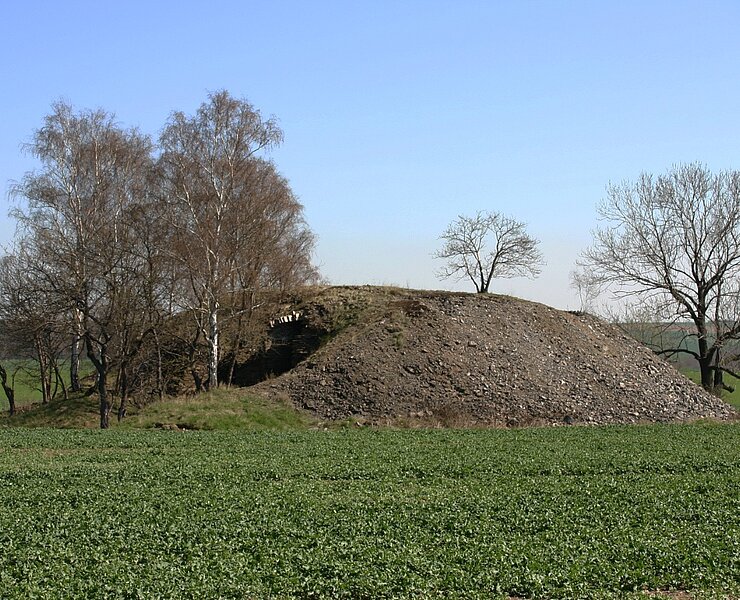 Rothschönberger Stolln - Lichtloch VI / Halde mit Schachtaufsattlung (WFE GmbH Annaberg-Buchholz)