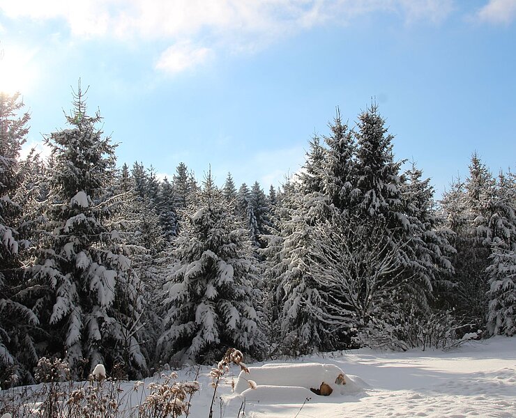 Winterlandschaft (4) (Vanessa Schüppel)