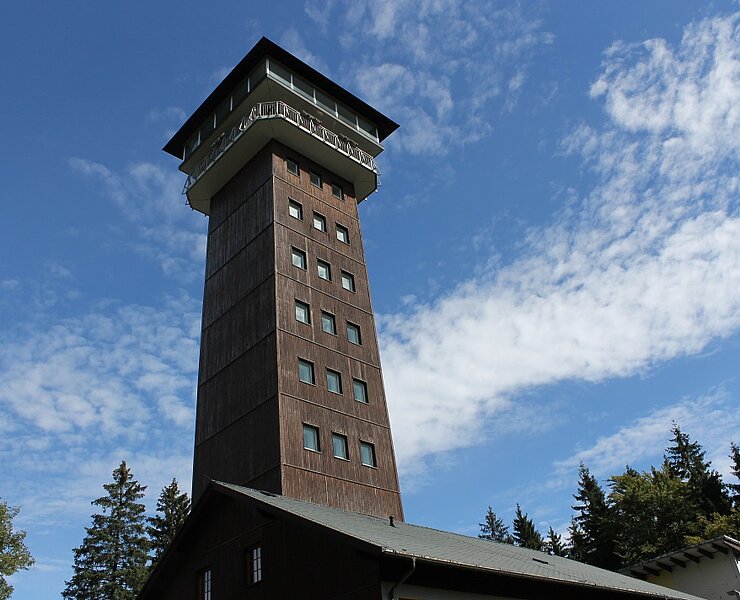 König Albert Turm auf dem Spiegelwald ()