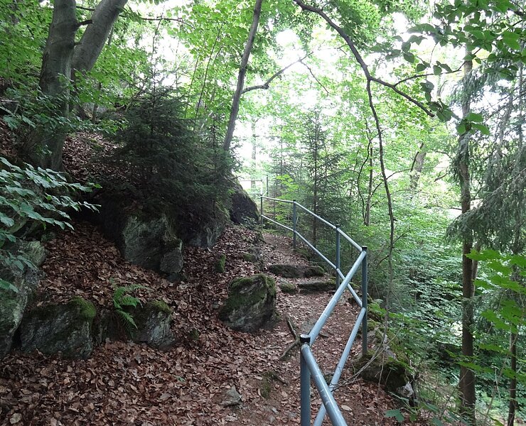 Stadtpark Thum ()