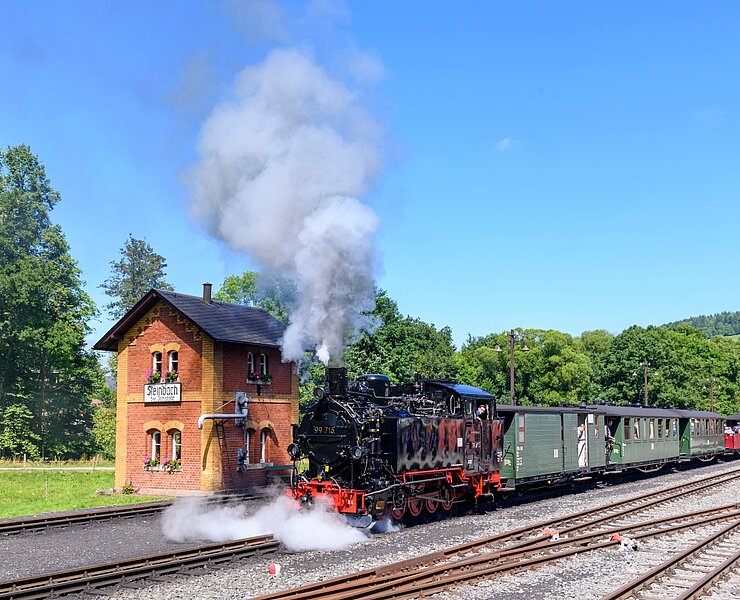 Museumszug der Preßnitztalbahn im Bahnhof Steinbach (Jürgen Herold, IG Preßnitztalbahn)