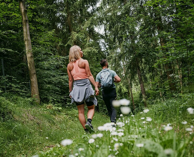 Waldweg zwischen Seiffen und Olbernhau (Dirk Rückschloss)