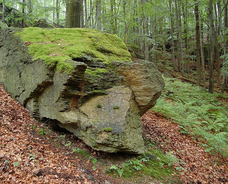 "Felsen "Schweinel" (Matthias Drechsel)