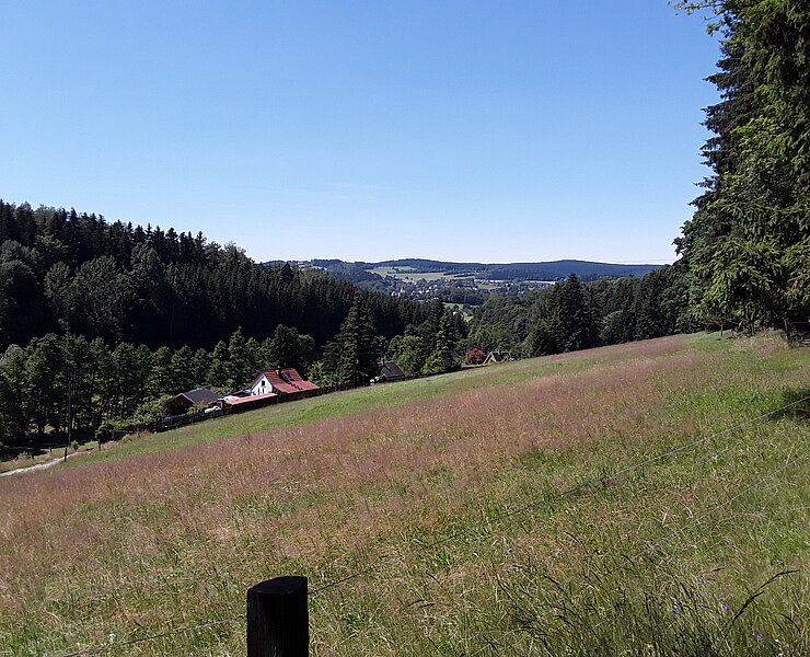 Blick ins Oswaldtal ()