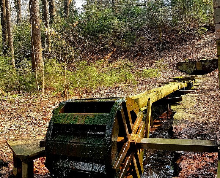 Wasserrad im Landschaftsschutzgebiet Erzengler Teich (Silberstadt Freiberg_Carolin Zimmermann)