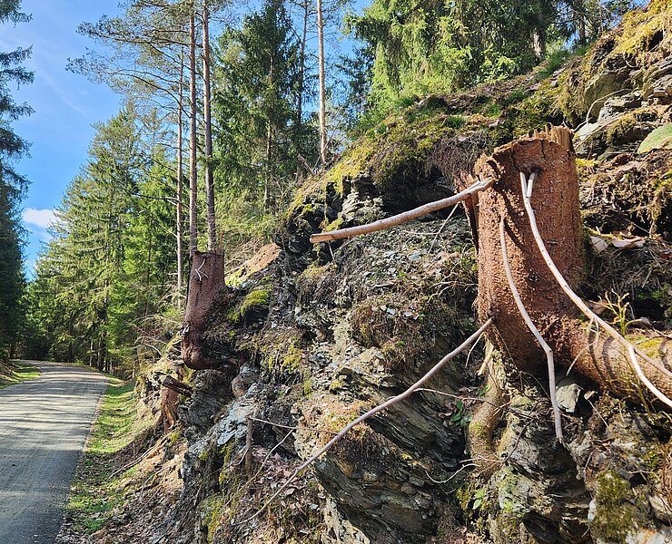  (Steffen Thränert, Natur- und Landschaftsführer)