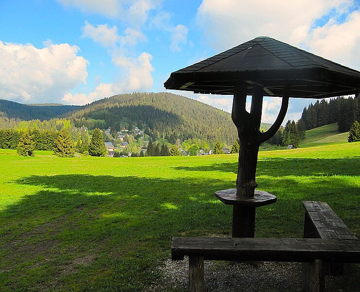 Blick auf Wildenthal mit dem Ellbogen (899 m) ()