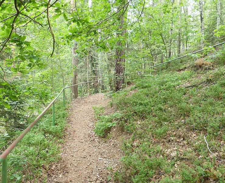 Aufgang zur Erashöhe (GEOPARK Sachsens Mitte)