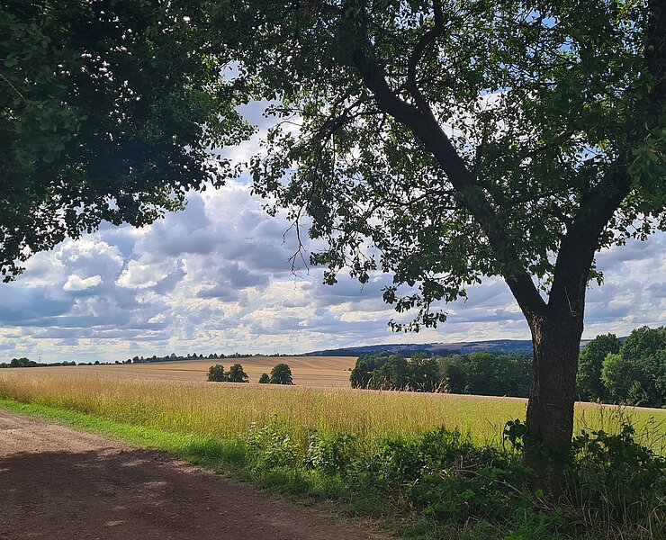  (Gemeinde Jahnsdorf)