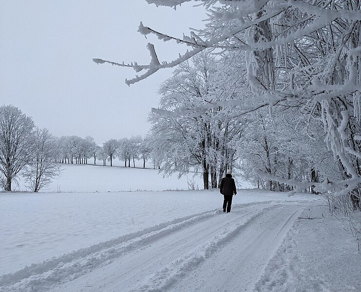 Winterlandschaft rund um Dörfel ()