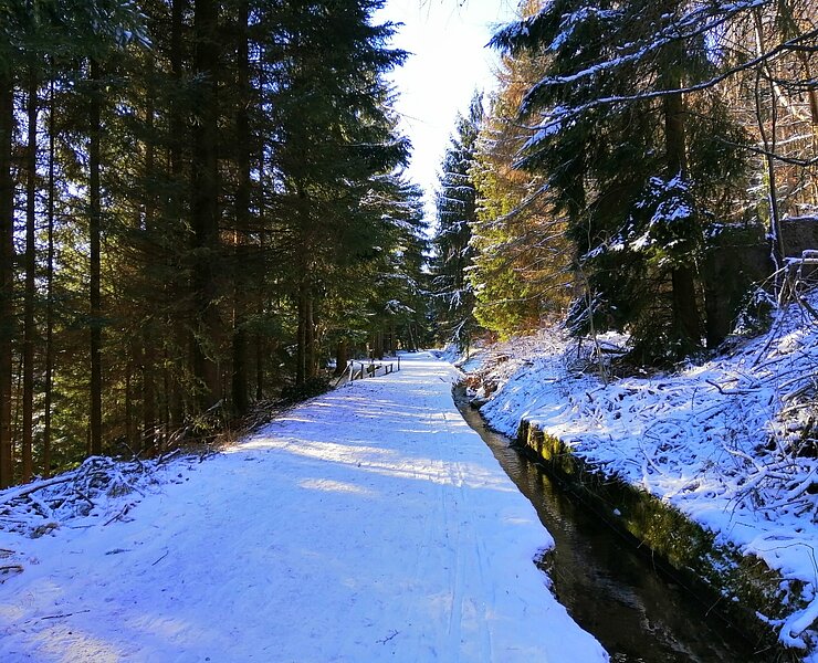 Winterwandern Aschergraben ()