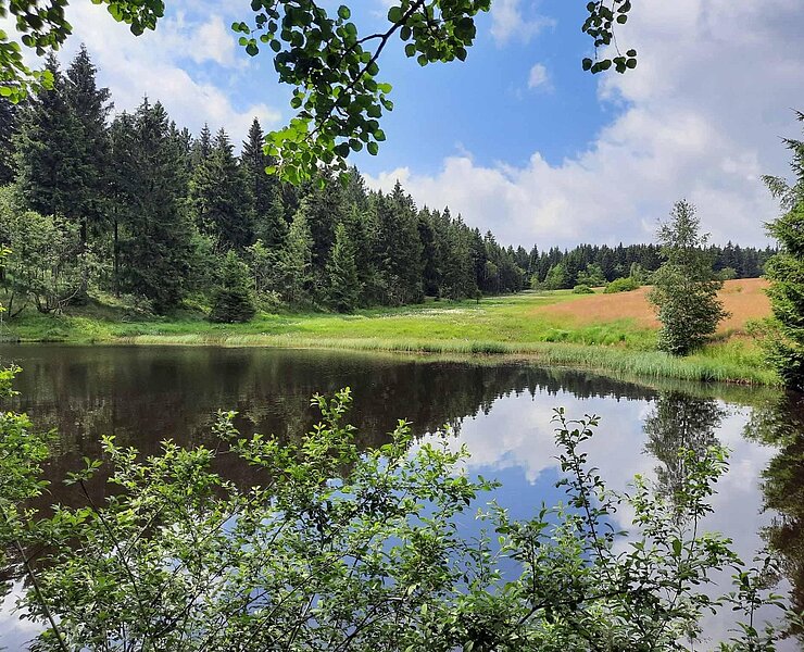 Moorteich ()