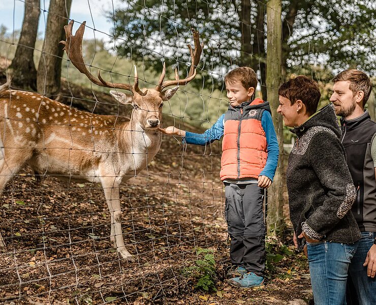 Wildpark Osterzgebirge (Phillip Maethner)