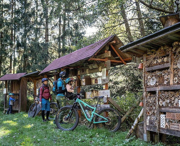 Naturerlebnispfad "Silbernes Klassenzimmer" (Dennis Stratmann)