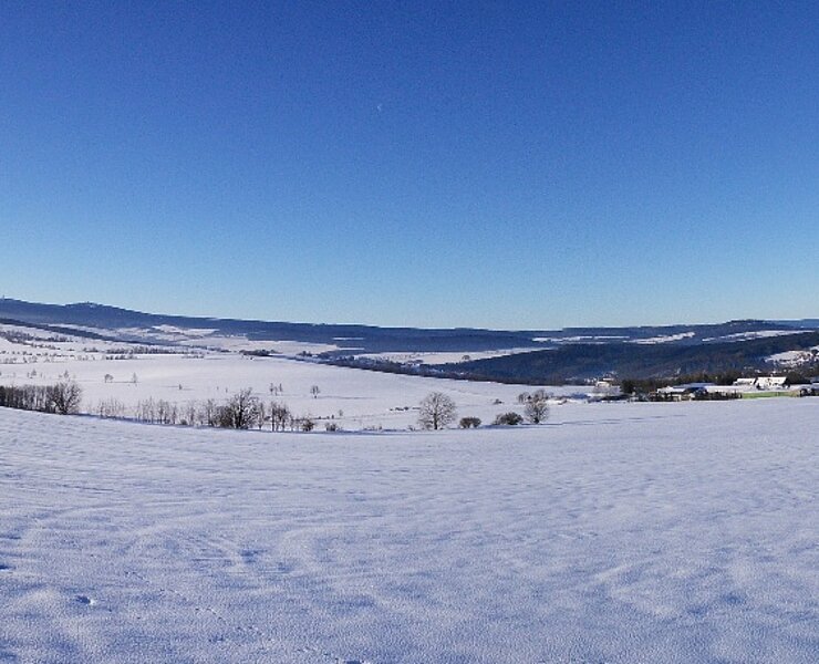 Panorama (Ulrich Falk)