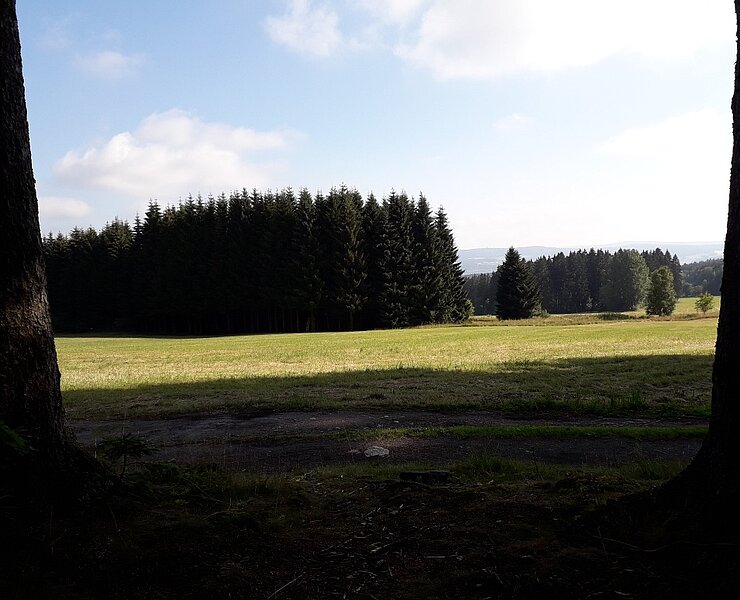 Ausblick (Karin Beer)