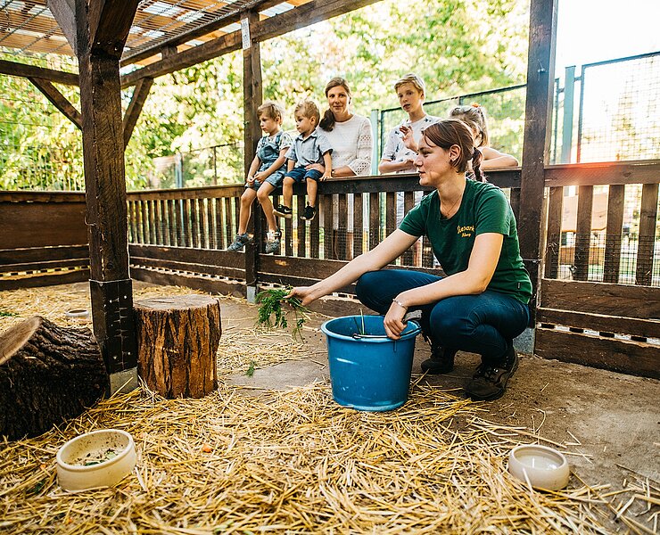 Tierpark Freiberg (Silberstadt Freiberg_Albrecht Holländer Artworks)