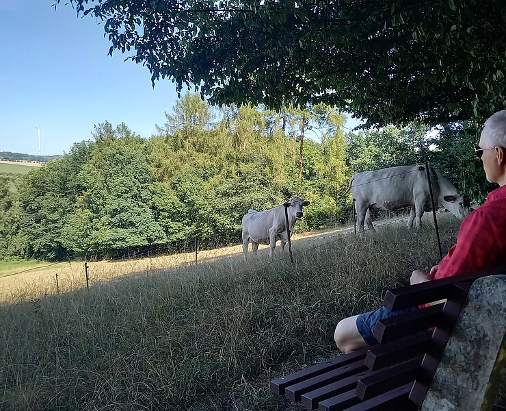 Blick auf Niederlungwitz ()