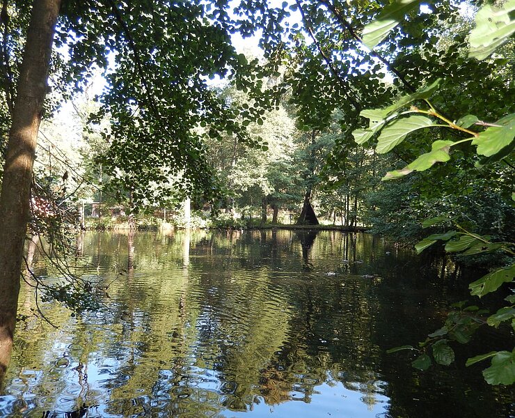 Hammerteich (Stadt Zwönitz)