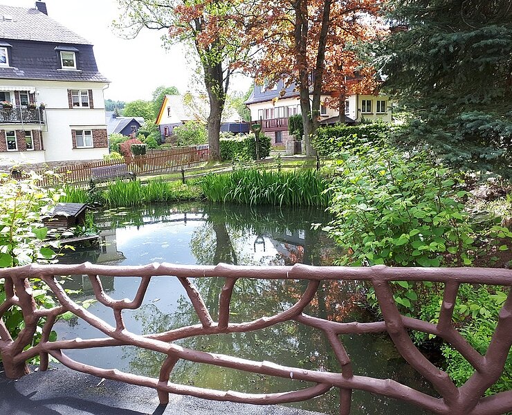 Richard Friedrich Park - Teich (Koordinator Städtebund Silberberg)