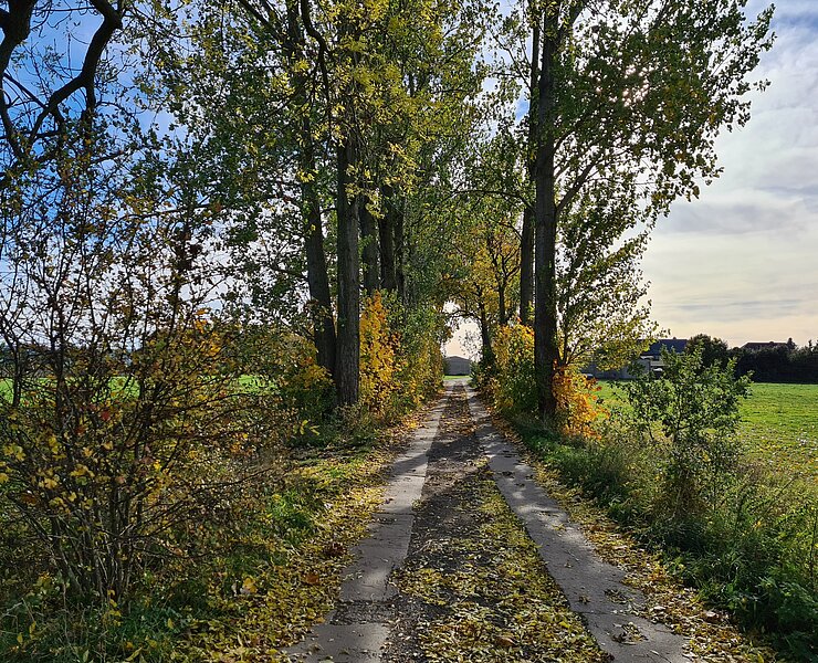 Weg von Seifersdorf nach Pfaffenhain (Gemeinde Jahnsdorf)