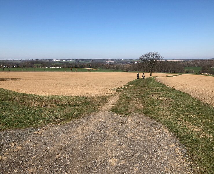 Blick nach Lichtenau/Sonnenlandpark (Wilfried Wußling)